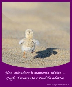 Positivo.Le positività che ispirano.